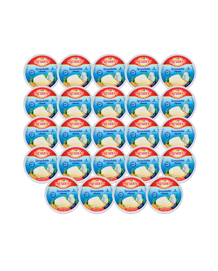 QUESO FUNDIDO ALVITA PRESIDENT (CAJA 24 X 140 G)