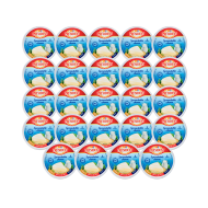 QUESO FUNDIDO ALVITA PRESIDENT (CAJA 24 X 140 G)