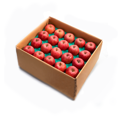 MANZANA ROYAL IMPORTADA CAJA 18 KG
