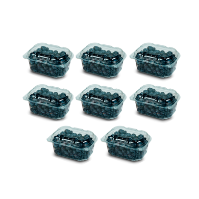 ARANDANOS  CAJA (8 X 125 GR)