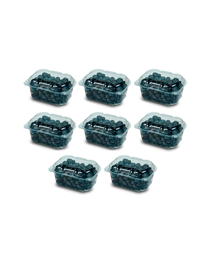 ARANDANOS  CAJA (8 X 125 GR)